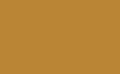 Game Color - Extra Opaque: Heavy Gold Brown