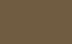 Game Color - Extra Opaque: Heavy Brown