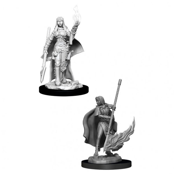 12 Days of Christmas - Day 1 - Pathfinder Deep Cuts Unpainted Miniatures