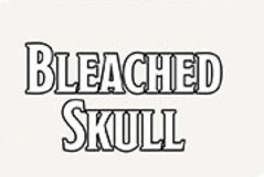 Nolzur's Marvelous Pigments - Bleached Skull