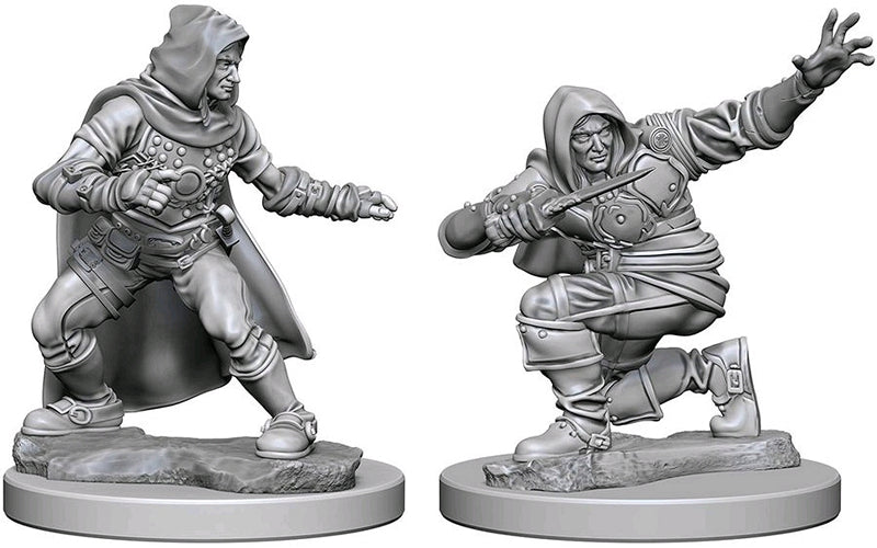 Pathfinder Deep Cuts Unpainted Miniatures: Human Male Rogue