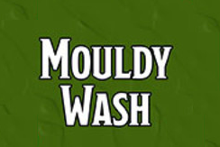 Nolzur's Marvelous Pigments - Mouldy Wash