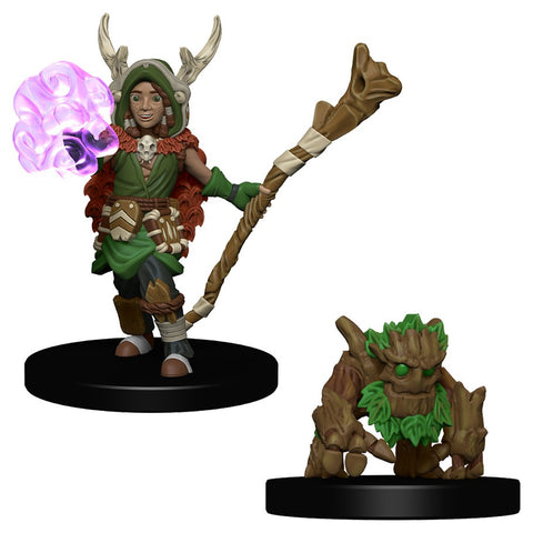 Wardlings: Boy Druid & Tree Creature
