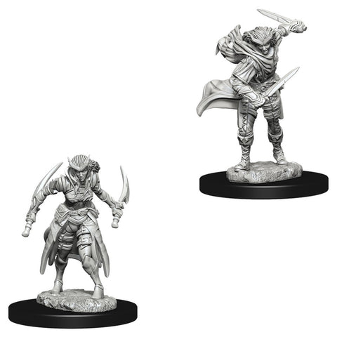 Dungeons & Dragons: Nolzur's Marvelous Unpainted Miniatures: Tiefling Female Rogue