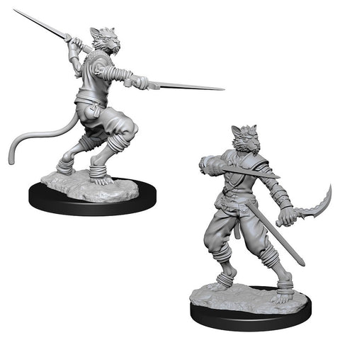 Dungeons & Dragons: Nolzur's Marvelous Unpainted Miniatures: Male Tabaxi Rogue