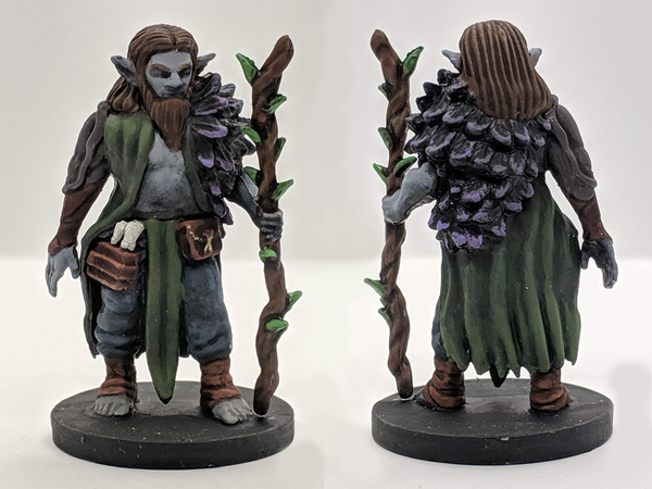 Forest Guardian Male Druid