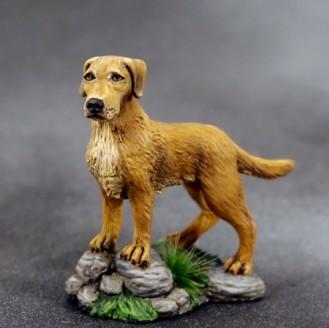 Visions In Fantasy: Labrador Dog