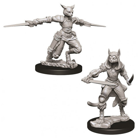 Dungeons & Dragons: Nolzur's Marvelous Unpainted Miniatures: Female Tabaxi Rogue