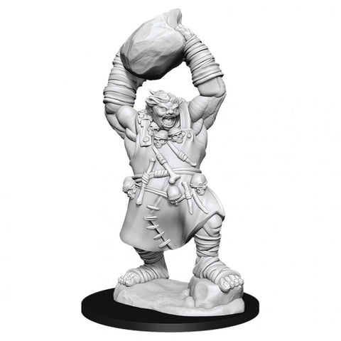 Pathfinder Battles Deep Cuts Unpainted Miniatures: Ogre